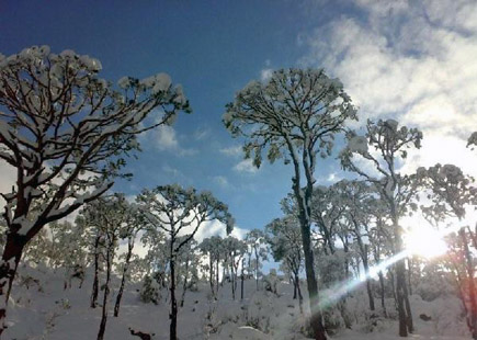 Jezzine