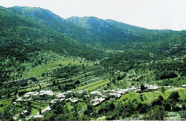 Milkh in Spring