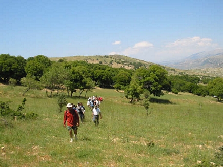 Hiking Trip To jezzine