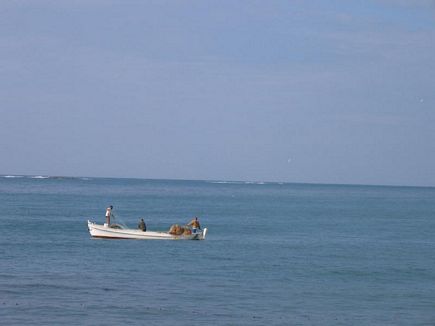 Fishermen in Tyre