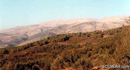 Rachaya Al Foukhar