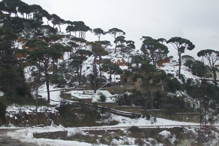 Jezzine