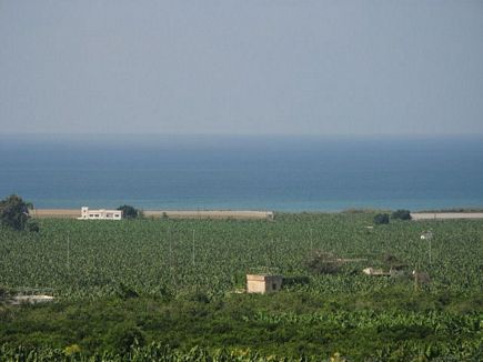 On the way to Saida