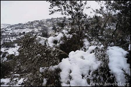 Snow on Ain-Ebel