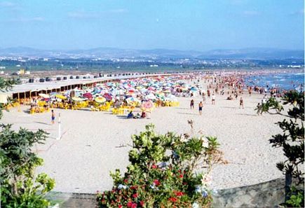 Beach in the South