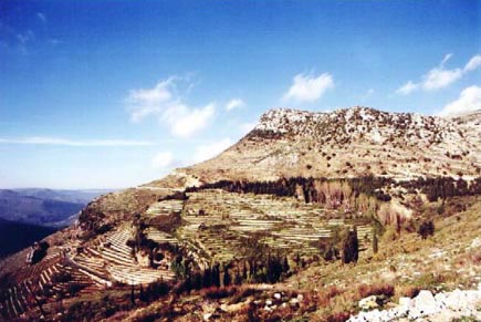 Jezzine