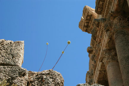 Baalbeck