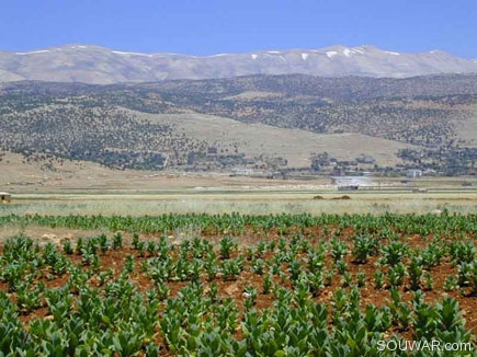 Bekaa Valley