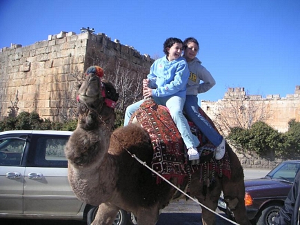 Camels in Baalbak