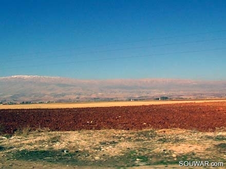 Bekaa