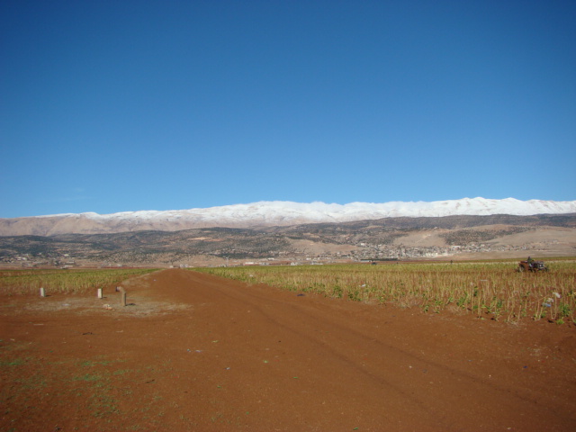 Deir el Ahmar