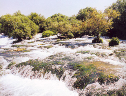 Assi River