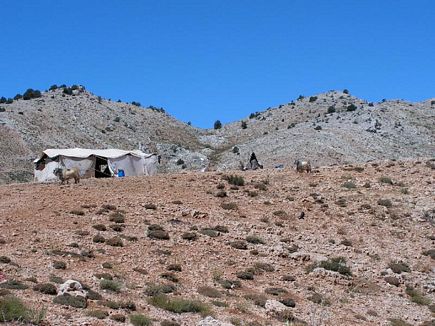 Bedouins