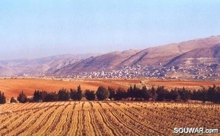 Bekaa