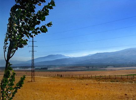 Bekaa