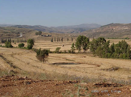 Bekaa