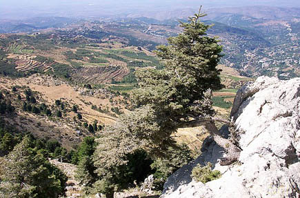 Baalbeck