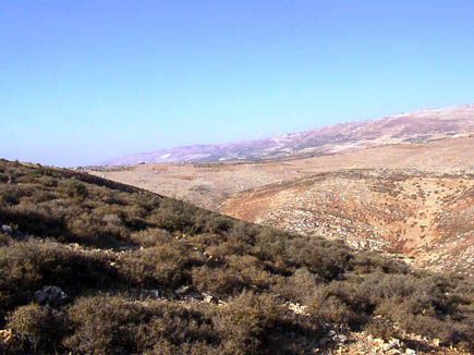 Rashaya (Beit Lahya)