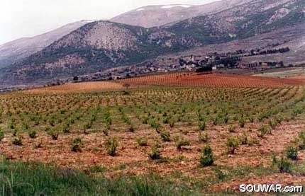 Bekaa