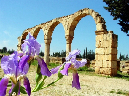 Anjar