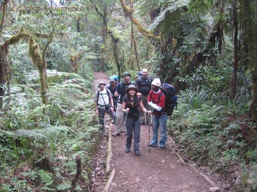 Hiking To Kilimanjaro, Tanzania Sept 2008- First Hiking Day