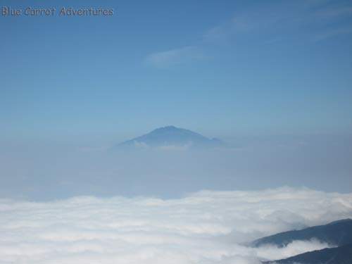 Hiking To Kilimanjaro, Tanzania Sept 2008- Mount Meru at 4566m.