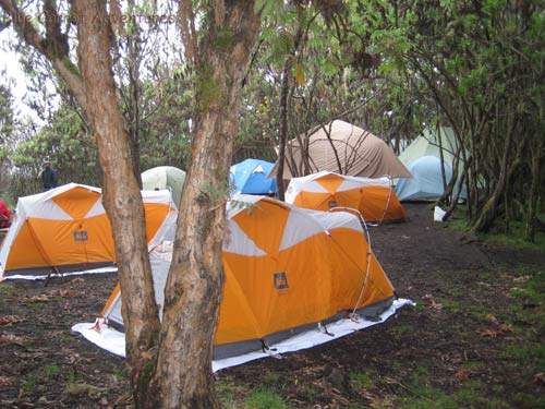 Hiking To Kilimanjaro, Tanzania Sept 2008- The Machame champ site