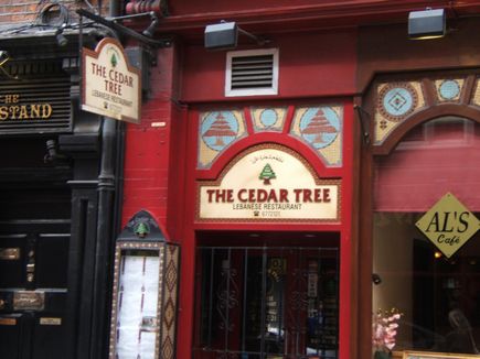 The Cedar Tree - Dublin