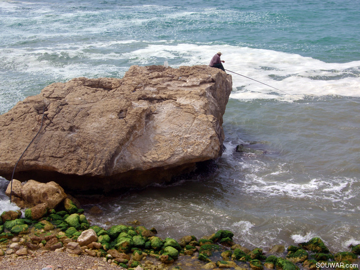 Lebanon Summer 2008