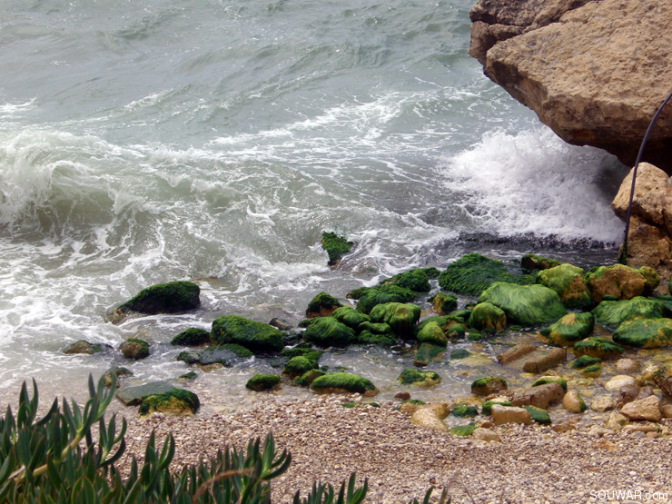 Lebanon Summer 2008