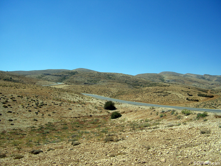 Lebanon Summer 2008