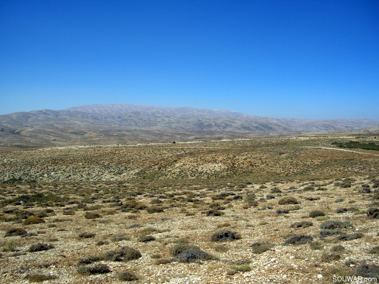 Lebanon Summer 2008