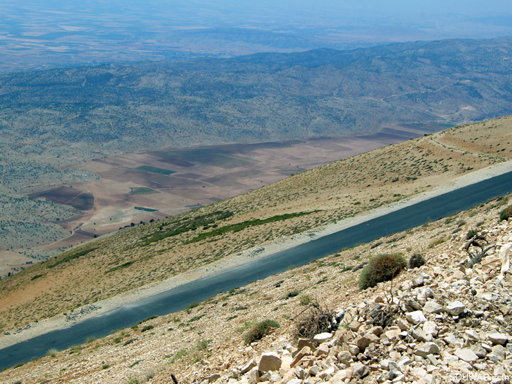 Lebanon Summer 2008