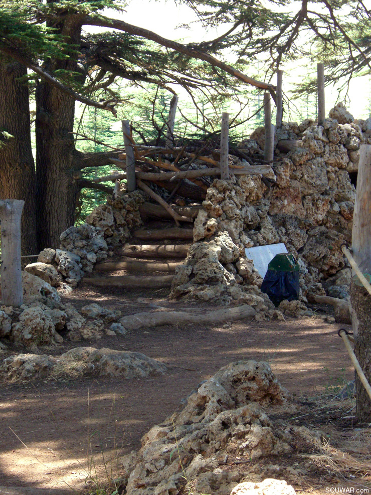 Lebanon Summer 2008