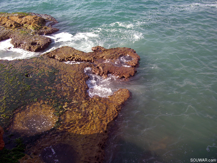 Lebanon Summer 2008