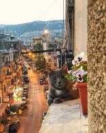 Lebanon From Above