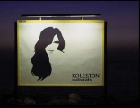 Creative billboard campain for Koleston Naturals