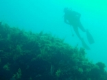 Diving In lebanon