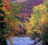 Un paysage d'automne