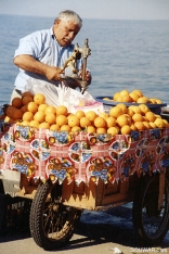 Fresh Orange Juice