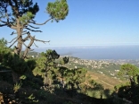 Coastal Town South of Jounieh