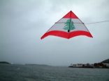 Lebanon Kite