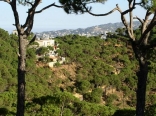 Hillside Near Mrouj