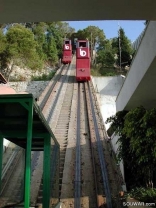 Harissa