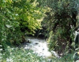 Kannoubine