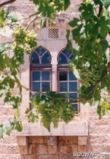 Window