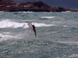 Wind Surfing