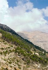 Ehden Reserve