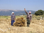 A Man & His Wife Saying Hi, Akkar Al Atika