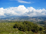 A Part Of The Pin Forest Of Gebrayel & Al Joumi Villages Behind